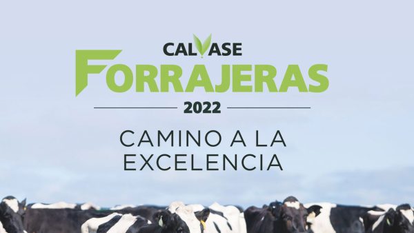 Forrajeras Calvase 2022 - Camino A La Excelencia